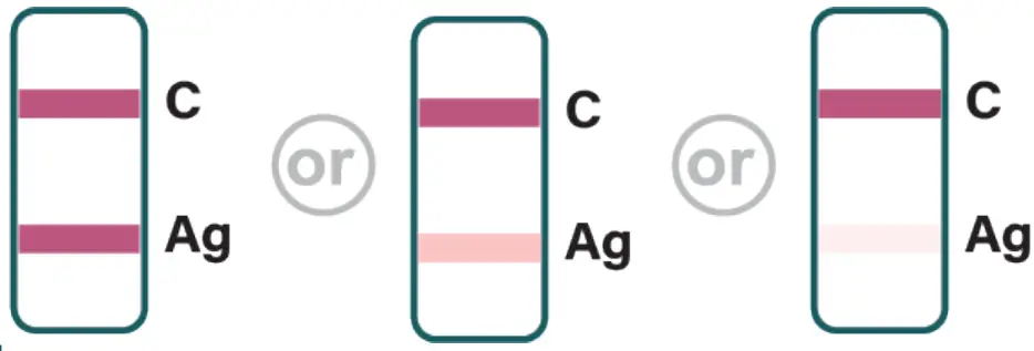 IMMUVIEW R0182CHT COVID-19 Antigen Home Test - fig 17