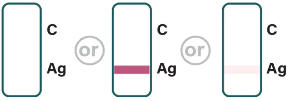 IMMUVIEW R0182CHT COVID-19 Antigen Home Test - fig 18