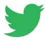 Twiter icon