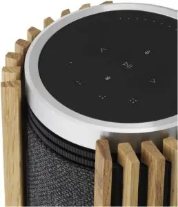 BANG OLUFSEN BEOLAB 28 Television Speaker