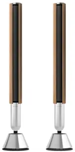 BANG OLUFSEN BEOLAB 28 Television Speaker