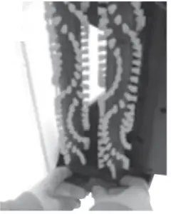 Brush-removal-and-large-belt-replacement