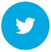 Twitter Icon