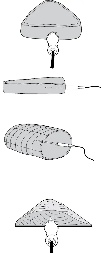 CORRECTLY INSERT THE PROBE 01