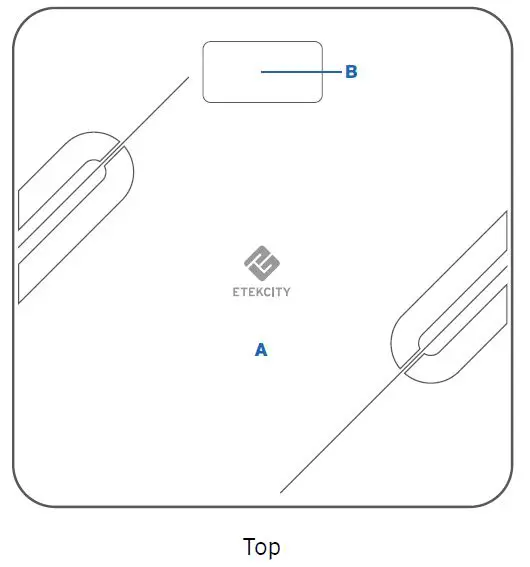 ETEKCITY ESF37 Series Smart Fitness Scale fig-1