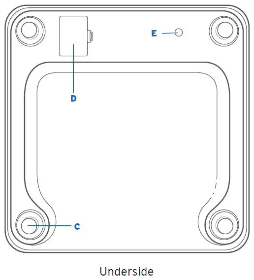 ETEKCITY ESF37 Series Smart Fitness Scale fig-2