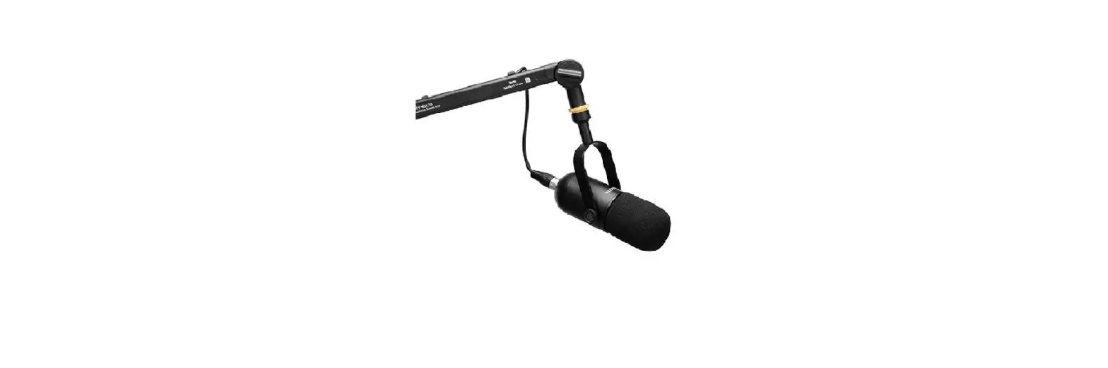 Boya By-dm500 Dynamic Broadcasting Microphone User Guide