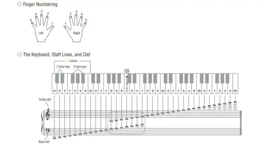 FIG 18 Reading the Score