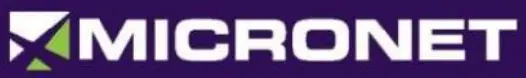 Micronet logo2