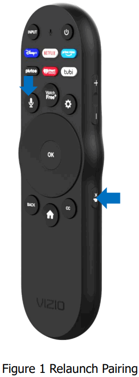 Beyonics XRT270 Remote Control - FIG 1