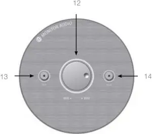 Amp Panel & Controls