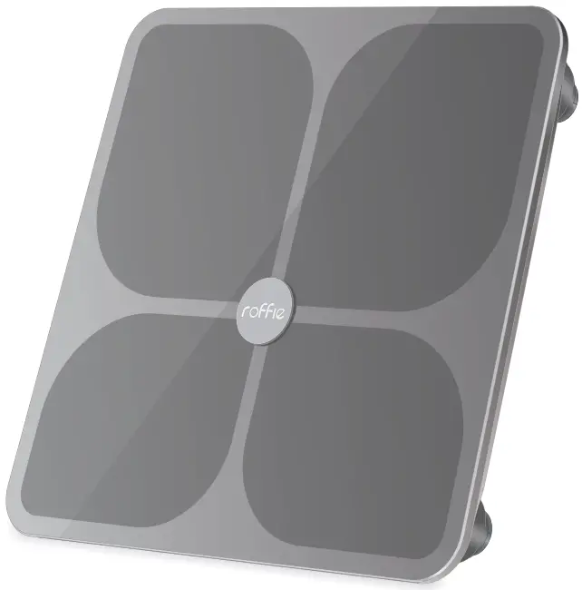 S3001 Smart Body Fat Scale