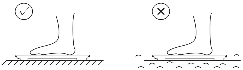 S3001 Smart Body Fat Scale User Friendly Tips