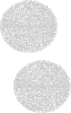 BISSELL 2307 - Box Contents 3