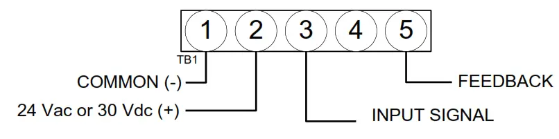 neptronic BM000N 2 Way Full Port Ball Valves - fig 4
