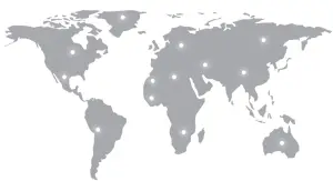 Inrico 2-T529A Intelligent Two Way Radio