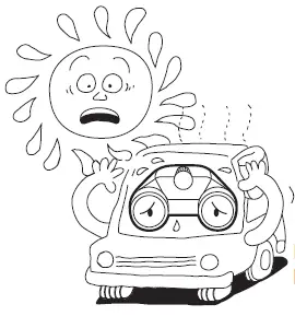 RICON SP 16x50 Binoculars and Telescope Owner's 6