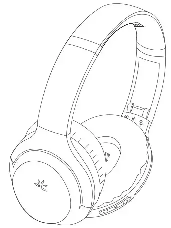 Avantree WSHT D6129-RX Wireless Headphone - Cover