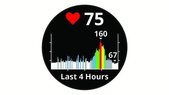 GARMIN Golf Watch Heart Rate Widget