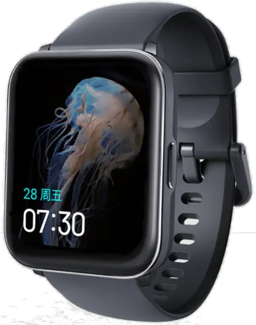 Ryeex Technology W2100 Heyplus Smart Watch