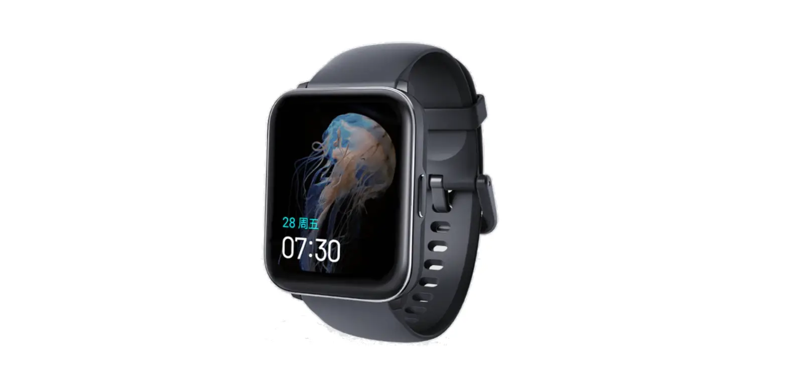 Ryeex Technology W2100 Heyplus Smart Watch User Guide