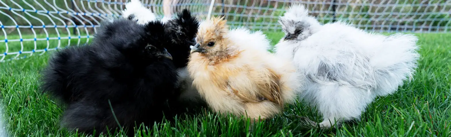 STARKLINE Electric Netting Kit - Cover