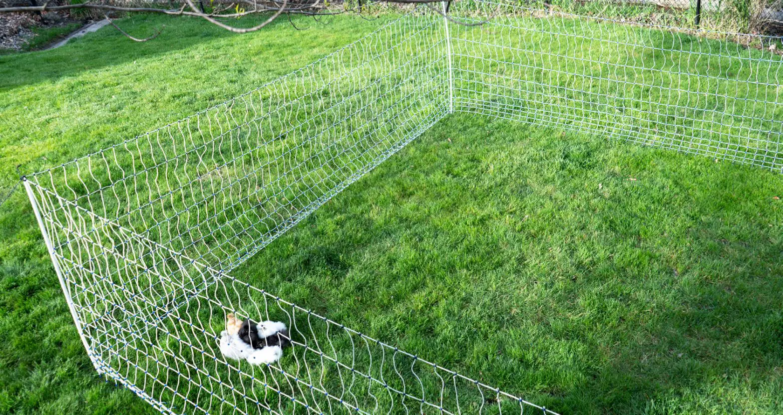 STARKLINE Electric Netting Kit - Finished