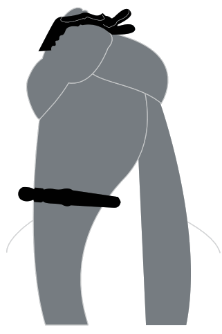 T3 77530 Lucea 1.5-Inch Professional Straightening and Styling Iron - bath tub1