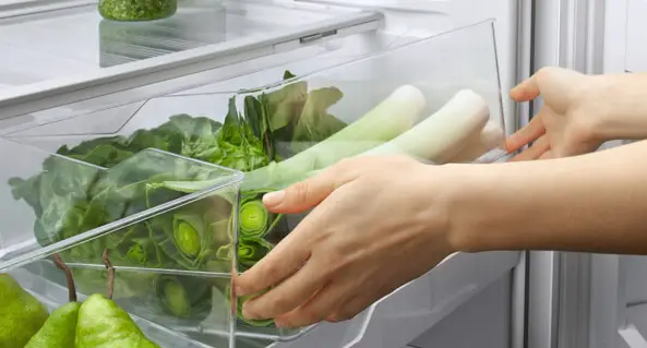 Fisher Paykel E522brwfd5n 32-inch Freestanding Refrigerator Freezer User Guide Fisher Paykel E522brwfd5n 32-inch Freestanding Refrigerator Freezer User Guide