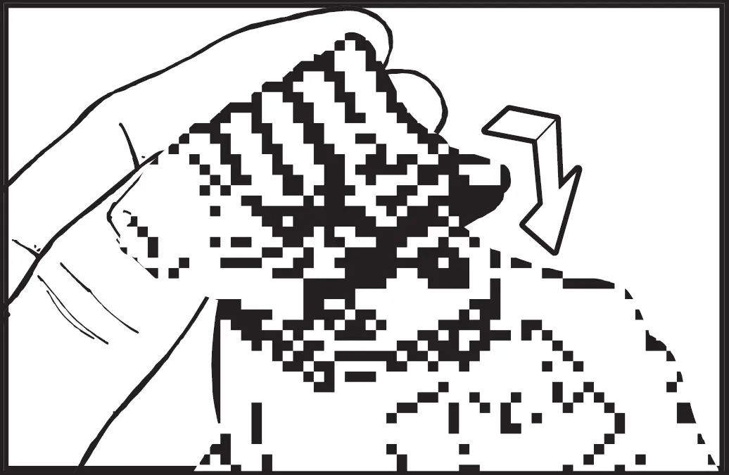 Wahl 9818 LI Stainless Steel Lithium Ion Plus Stainless Steel Beard Trimmer 01