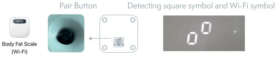 TESLA Smart Composition Scale-fig4