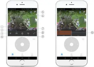 APP Video Browsing Details