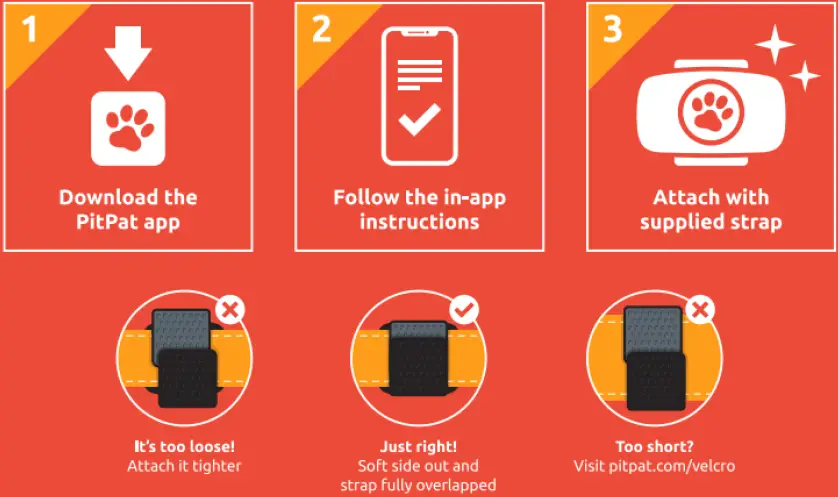 pitpat-Dog-GPS-Tracker-PP04-fig-1