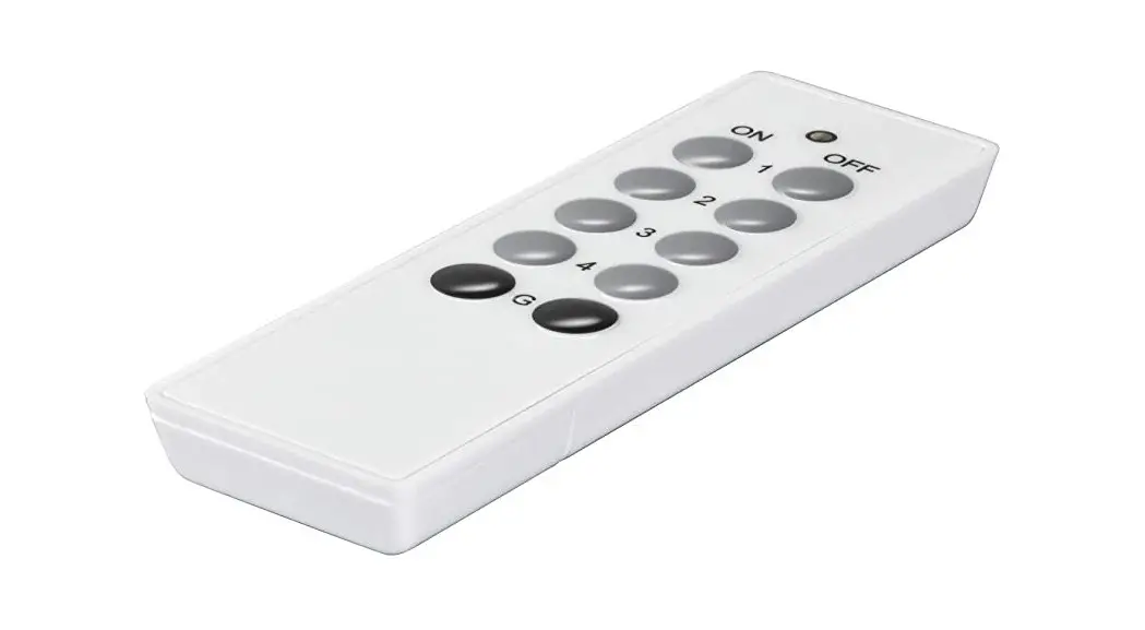 Hama 00121956 Radio Remote Control Instruction Manual