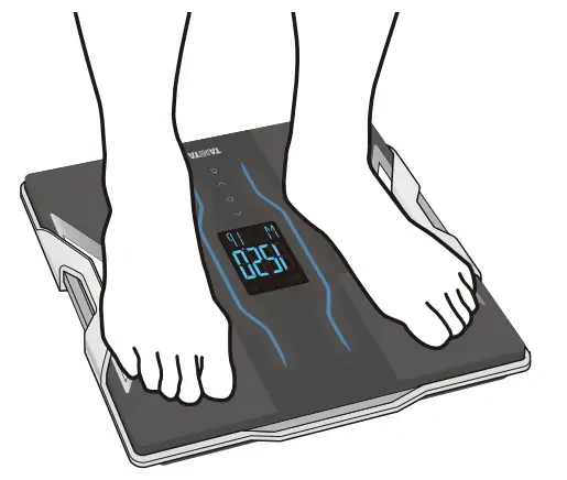 TANITA RD901PRO Multi Frequency Body Composition Monitor - Step