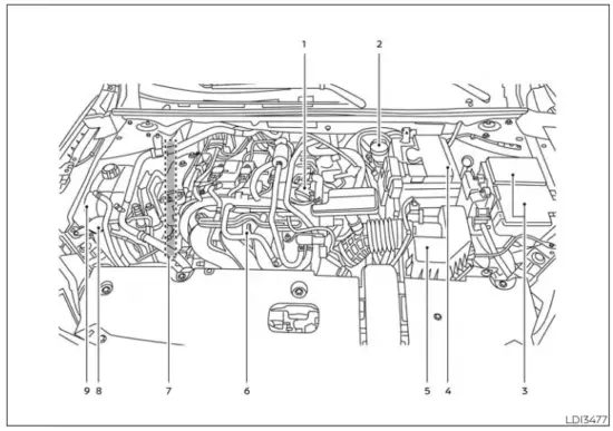 NISSAN 2021 Sentra Car - COMPARTMEcdNT