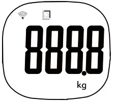 Insert the Batteries