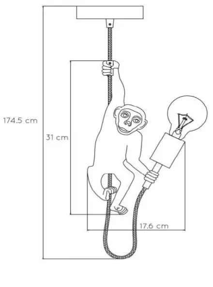 LUCIDE-10402-Extravaganza-Chimp-Ceiling-Pendant-Light-FIG-1