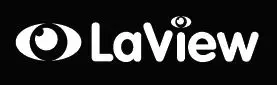 Laviewusa-logo