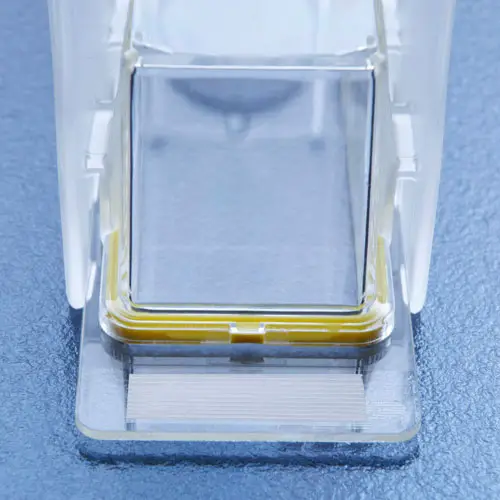 TPP Clipmax 10 cm2 Chamberslide-featured image