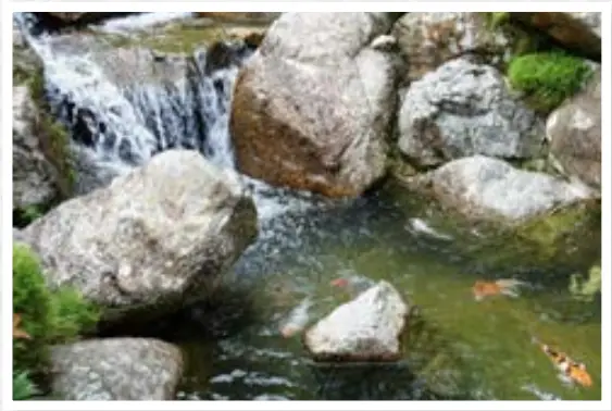 Installation instruction