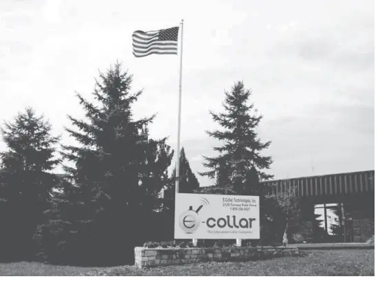 Educator EZ-900 Remote Waterproof Dog Trainer-13