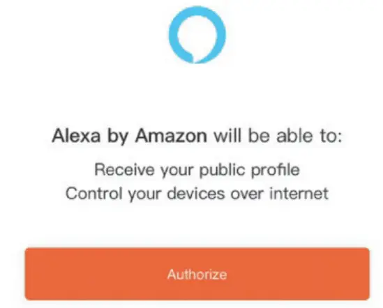 L2 Light Bulb Camera Alexa Set Up