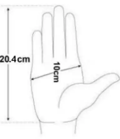 MOB MO9901 Garden Gloves-fig3