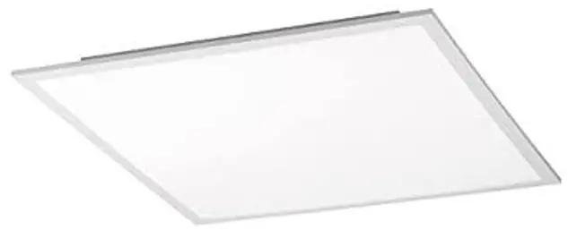 Paul Neuhaus 14531 Ceiling Light-