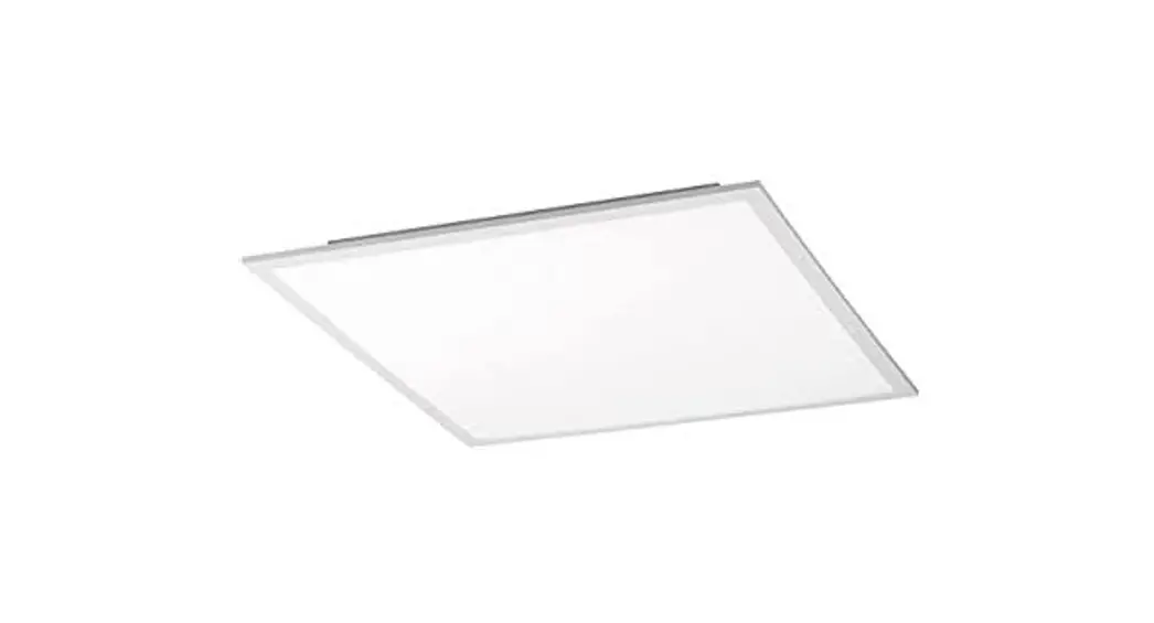 Paul Neuhaus 14531 Ceiling Light Instruction Manual