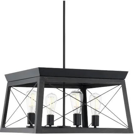 PROGRESS-LIGHTING-P400047-031-Briarwood-Textured-Black-Four-Light-Chandelier-product