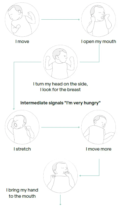 Koala-babycare-Hug-Baby-Pillow-fig- (6)