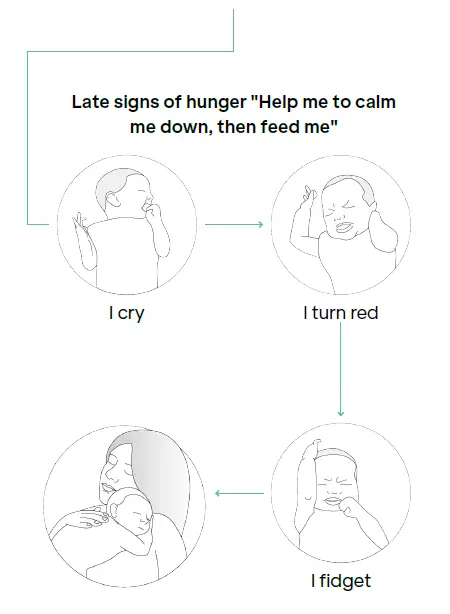 Koala-babycare-Hug-Baby-Pillow-fig- (7)