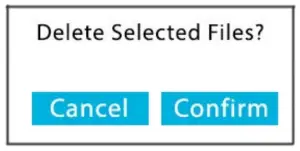 Delete selected file.